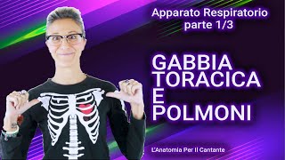 APPARATO RESPIRATORIO NEL CANTO Parte 13  GABBIA TORACICA E POLMONI [upl. by Eno]