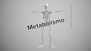 Metabolismo medicinauy [upl. by Prescott]