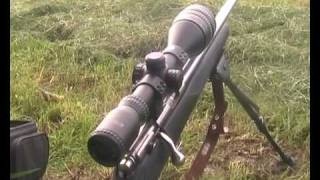 17 hmr 295 yards shot at a pidgeon [upl. by Rodgers387]