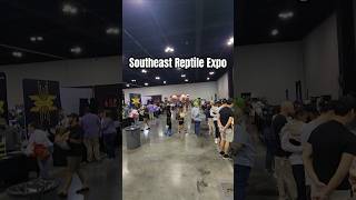 Southeast Reptile Expo [upl. by Moses96]