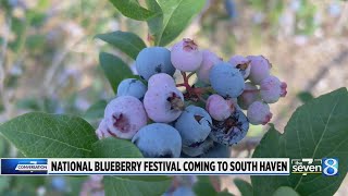 National Blueberry Festival coming to South Haven [upl. by Levy]