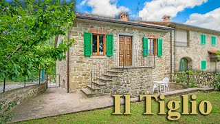 SECTION OF FARMHOUSE FOR SALE IN TUSCANY [upl. by Casimire]