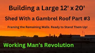 Building a Large 20 x 12 Shed with Gambrel Roof Part 3 Building the remaining 3 walls [upl. by Assirroc]