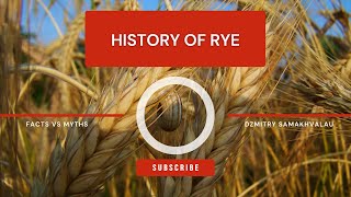 Unveiling the Secret Grain Ryes Rise from Ancient Crop to Modern Feast [upl. by Litt697]