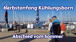 Herbstanfang Kühlungsborn  Abschied vom Sommer [upl. by Oguh594]