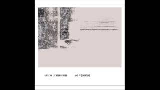 grischa lichtenberger  and iv inertia full album [upl. by Auroora]