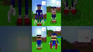 SHIN SONIC TAPES in MINECRAFT minecraft sonic [upl. by Dranek]