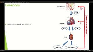 Klas 4 VWO Thema 2 Voortplanting amp seksualiteit basisstof 3 Hormonen deel 2 [upl. by Pirnot630]