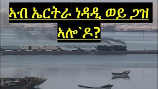 ዳህሳስ ነዳድን ጋዝን ኣብ ኤርትራ  Oil and Gas Exploration In Eritrea [upl. by Elamor]