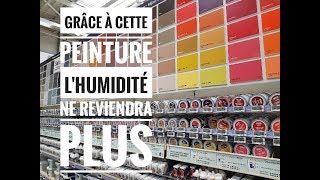 Quelle peinture utiliser contre LHUMIDITÉ [upl. by Rihana]