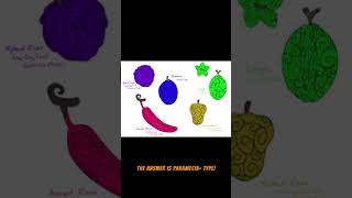 💥 Devil Fruit Quiz Paramecia Edition 🌟 [upl. by Atnahsal]