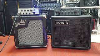 Aguilar TONE HAMMER 350ampSL110 and Trickfish BULLHEAD MINI 500ampTF110 DEMO [upl. by Dhiren]