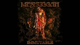 Meshuggah  Ligature Marks Solipsis Remaster [upl. by Ruamaj]