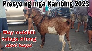 MAY MGA MURANG KAMBING NGAYON  Presyo ng Kambing sa Cattle Trading Capital of the Philippines [upl. by Elder]