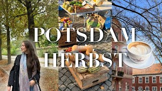 HERBSTWOCHENENDE in POTSDAM ☕️🧦  Wochenmarkt Zimtschnecken amp cozy vibes  vlog [upl. by Kauppi]