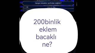 200binlik eklembacaklı ne [upl. by Rollie]