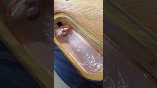 Shielding A Guitar Using Copper Tape guitarwork guitartech ukguitartech shorts [upl. by Dahsar812]