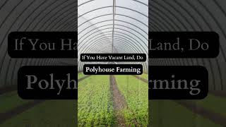 Polyhouse Farming sustainableagriculture [upl. by Light880]