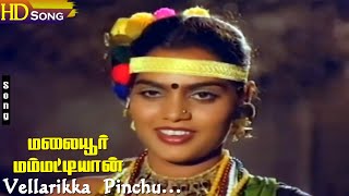 Vellarikka Pinchu HD  Gangai Amaran  SPSailaja  Malaiyoor Mambattiyan  Tamil Hit Songs [upl. by Izogn]