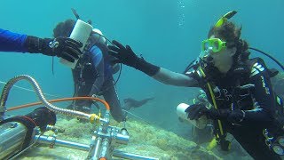 What Do Corals Tell Us About Changing Climates with Paleoceanographer Nathalie Goodkin [upl. by Ploss]