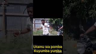 POMBE ZA MCHANA [upl. by Raynell509]