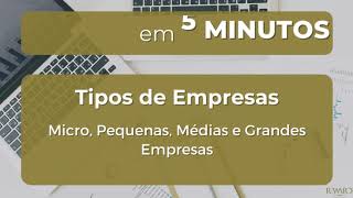 Tipos de Empresas Micro Pequenas Médias e Grandes Empresas  Gestão em 5 Minutos G5M [upl. by Sisile]