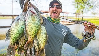 BIG CRAPPIE SPAWNING in Shallow Brush CATCH amp COOK [upl. by Rhea363]