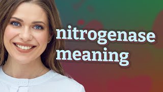 Nitrogenase  meaning of Nitrogenase [upl. by Otrebide]