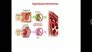 Hypolipoproteinemia [upl. by Lucky]