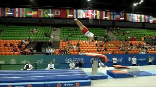 PARK Seungho KOR  2019 Artistic Junior Worlds Gyor HUN  Qualifications Vault 1 [upl. by Orsa]