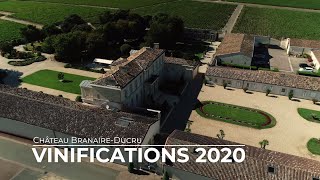 Vinifications 2020  Château BranaireDucru [upl. by Noam]