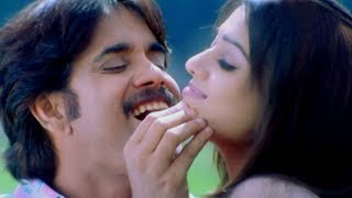 Boss Songs  Andagadu Muttukunte  Nagarjuna Nayantara [upl. by Maddox587]