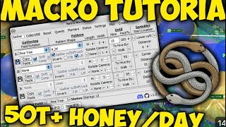 HOW TO ONLY DOWNLOAD MACRO IN BEE SWARM SIMULATOR AND MAKE TRILLIONS OF HONEY EVERY NIGHT [upl. by Pitarys239]