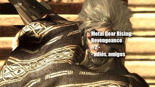 Metal Gear Rising Revengeance  adiós amigos  2 [upl. by Astiram735]