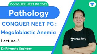 Conquer NEET PG 2022 Megaloblastic Anemia  Pathology  Lets crack NEET PG  DrPriyanka Sachdev [upl. by Carly905]