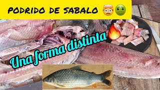 TUTORIAL COMO HACER PODRIDO DE SÁBALO 🤢 fishin fishing pesca fishing sabalo carnadas [upl. by Eyaf]