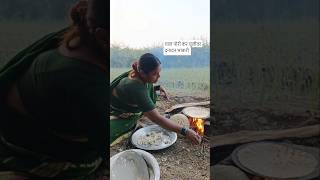 बारीक माशांचा रस्साचुलीवर भाकरी चुलीवरभाकरी माशाचारस्सा fish aartiarke shortsviral shrots [upl. by Enohs150]