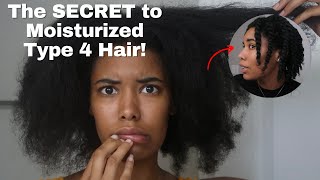 The Truth About Moisturizing Type 4 Natural Hair [upl. by Jobina]