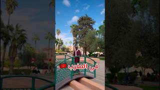 إنتبه ⚠️ تقول هالكلمة في المغرب 🇲🇦 لا تجيب العيد 😱💔 explore ترند ضحك comedy funny morocco [upl. by Amorete991]