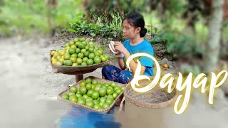 Harvesting and Preserving Key Lime [upl. by Bonina]