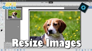 Resize Images the Right Way in Photoshop Elements [upl. by Gervais]