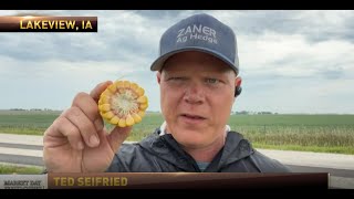 Ted Seifried From The Ground In Iowa For The Pro Farmer Crop Tour RFDTV82422 [upl. by Ahsema382]