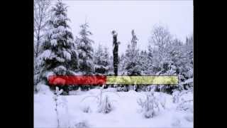 Weisser Winterwald White Wonderland [upl. by Eelanaj]