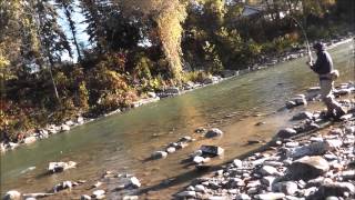 Cattarugus Creek Fall Steelhead 2014 [upl. by Estis813]