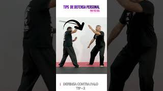 DEFENSA PERSONAL CONTRA PALO TIP 2 artesmarciales defensapersonal martialarts [upl. by Marquez]