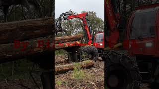 Camox debusqueur skidder loggingG275 [upl. by Maximilianus]