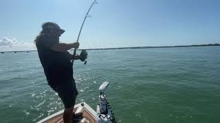 Urban Tarpon Fishing Florida with Capt Jon Black [upl. by Beebe853]