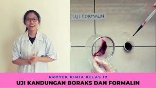 Uji Kandungan Boraks dan Formalin Pada Sampel Makanan  Ujian Praktik Kimia Audrey [upl. by Jimmie]