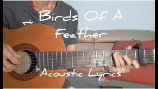 Birds Of A Feather Acoustic Lyrics Karaoke [upl. by Shadow763]