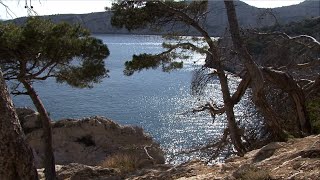 Balade à la calanque de Sugiton  Provence [upl. by Surtemed196]